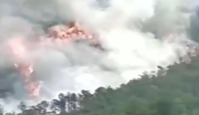 China Plane Crash: चीन में बड़ा विमान हादसा, क्रैश होकर पहाड़ों में गिरा Boeing 737 विमान, 132 यात्री थे सवार