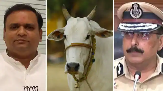 बकरीद के दिन महाराष्ट्र में नहीं कटे एक भी गाय, स्पीकर राहुल नार्वेकर का DGP को निर्देश बकरीद के दिन महाराष्ट्र में नहीं कटे एक भी गाय, स्पीकर राहुल नार्वेकर का DGP को निर्देश