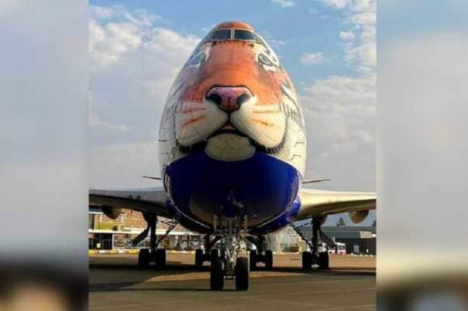 Cheetah in Kuno: नामीबिया से खास विमान में भारत आ रहे हैं चीते, एयरलाइन कंपनी ने जारी की फ्लाइट की तस्वीऱे