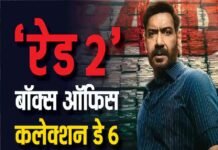 Raid 2 Box Office Collection