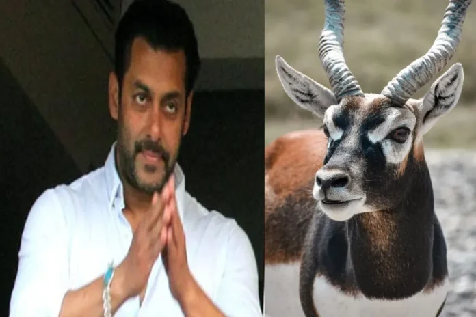 Blackbuck Poaching Case, Salman Khan Court