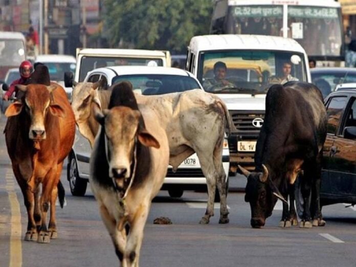 new-project-2022-07-18t200534642_1658154941