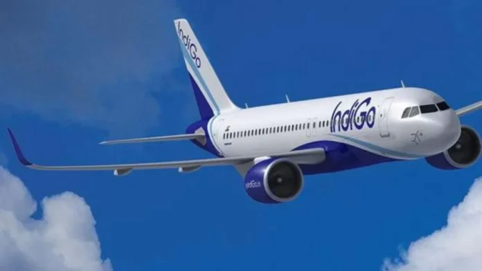 Indigo-1765467932744-1765475275918-1765475289829