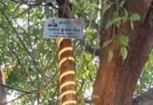 दरियागंज वार्ड में सौंदर्यीकरण कार्य निरंतर जारी : मनोज जैन मनोज जैन