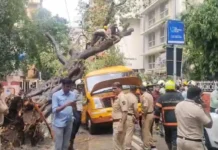 Mumbai School Bus Accident: स्कूल बस पर पेड़ गिरने से छात्र की मौत, चार बच्चे घायल