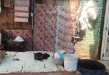 Mayur Vihar Crime: मानसिक रूप से अस्वस्थ महिला से दरिंदगी, CCTV में कैद हुई पूरी वारदात