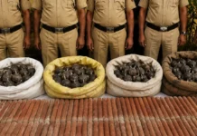 West Bengal: स्वतंत्रता दिवस से पहले बीरभूम में बड़ी कार्रवाई, 304 जिलेटिन की छड़ें और देसी बम बरामद; एक गिरफ्तार West Bengal Birbhum explosives seized before Independence Day