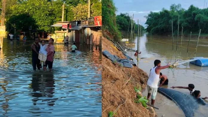 Assam Flood, Assam Rain, IMD Alert, Flood News, Assam Weather