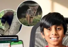 AI Wildlife App: 8 साल के वियोहन ने AI की मदद से बनाया ‘Urban Wild Watch’, जंगली जानवर दिखते ही लोगों को करता है सतर्क
