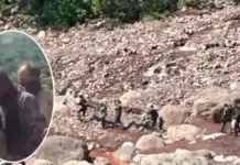 Operation Sohan: उधमपुर में सुरक्षाबलों का बड़ा ऑपरेशन, जैश-ए-मोहम्मद के दो पाकिस्तानी आतंकी सद्दाम और मुस्तफा ढेर Operation Sohan, Udhampur Encounter, Jaish E Mohammed, Jammu Kashmir, Pakistani Terrorists