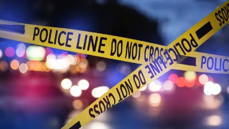 Airline Pilot Death, Vasant Kunj Delhi, Delhi Police, Hotel Room Death, Delhi Crime